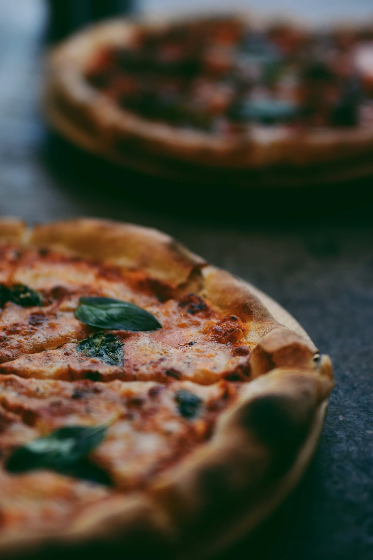 Two balls of fresh sourdough pizza dough resting in a tray